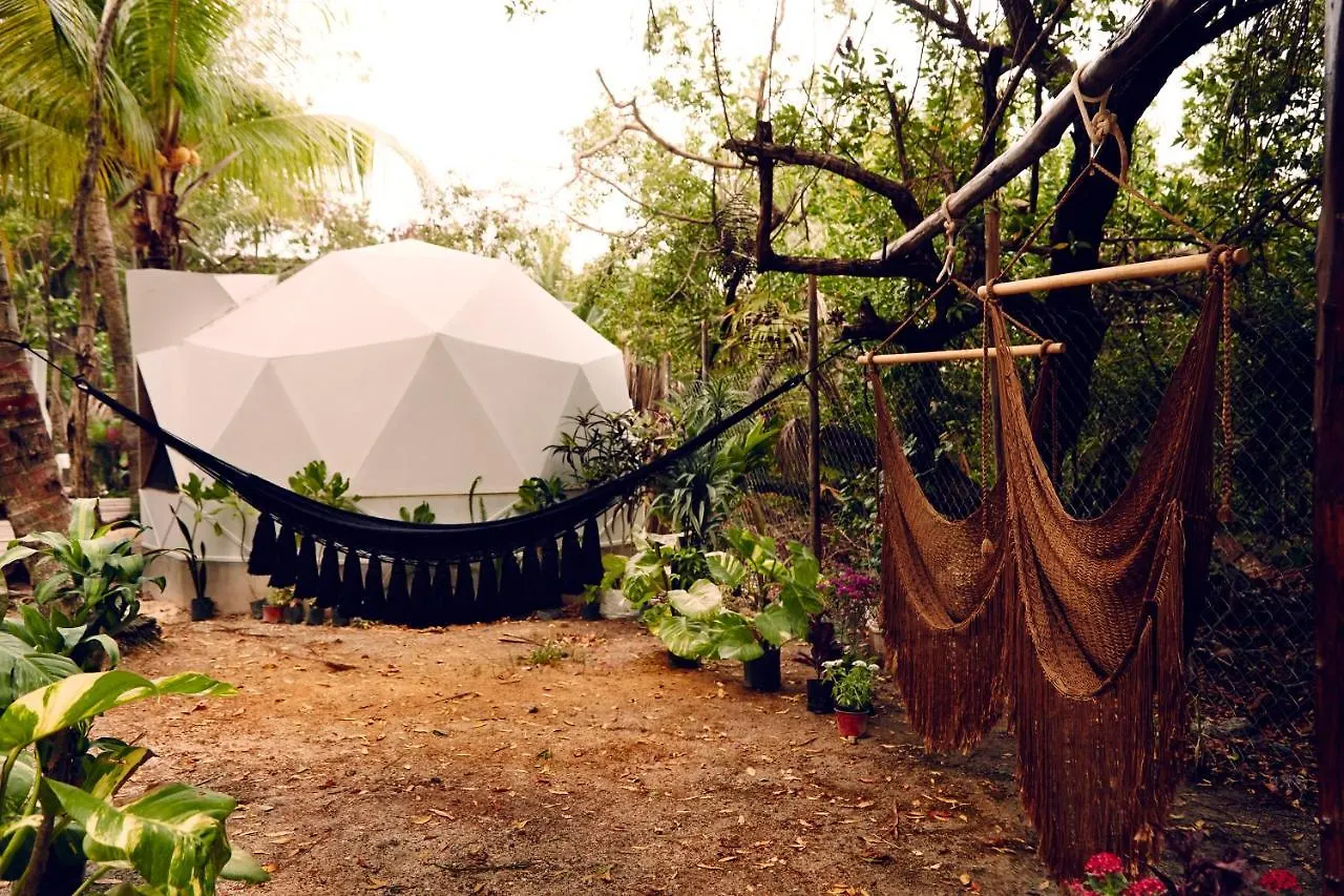 Frequency Hotel Isla Holbox