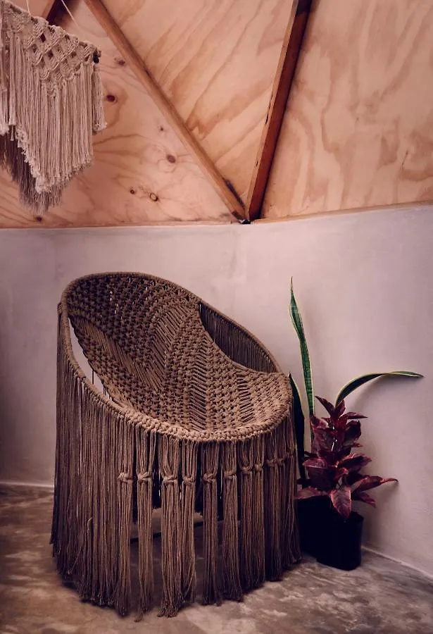Hotel Frequency Isla Holbox