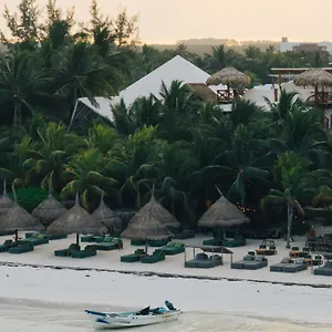 Casa Tortugas Petit & Отель